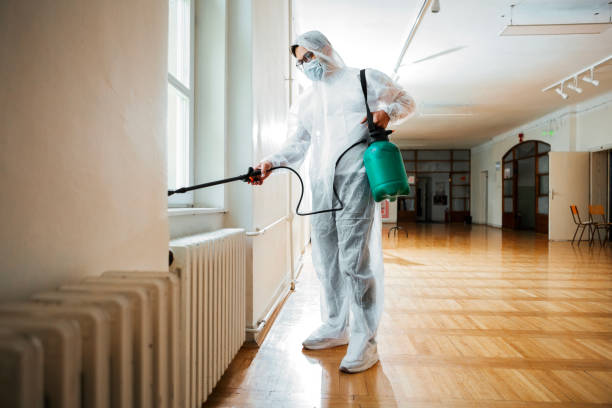 Insect Control in Snellville, GA