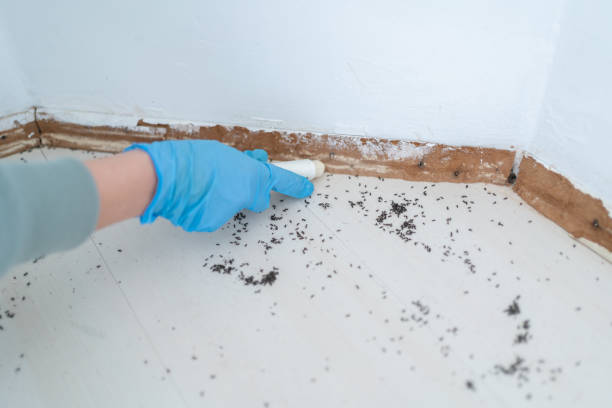 Wildlife Control Services in Snellville, GA